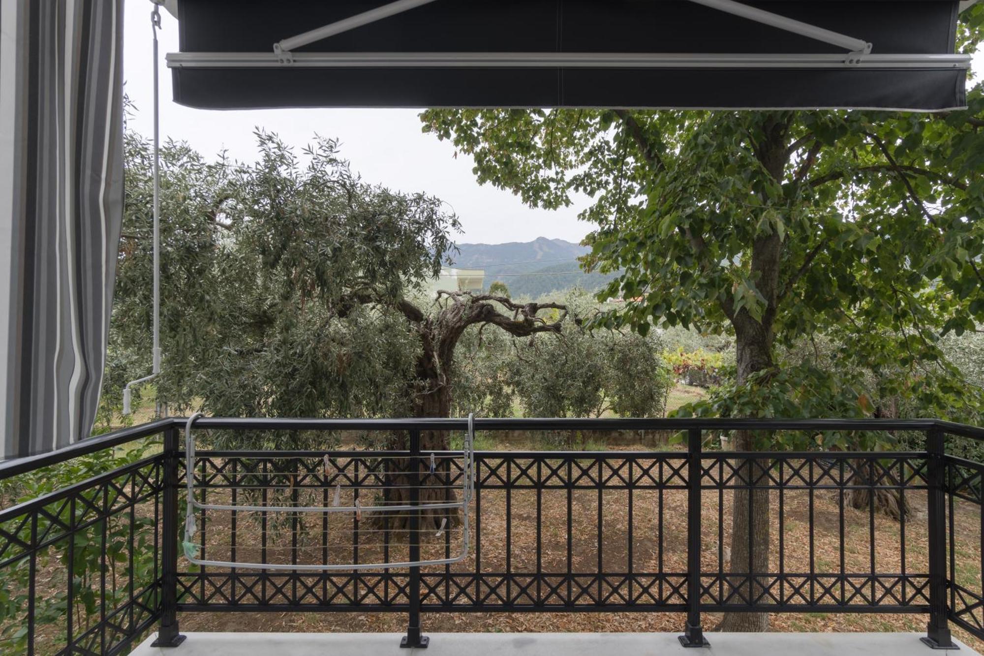 Studios Anais - Thasos Exterior photo